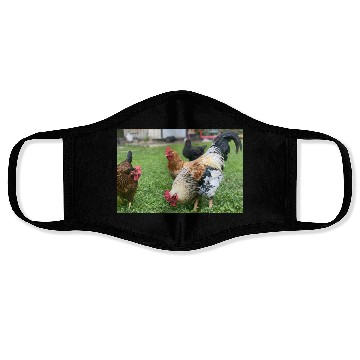 Discover Farmyard Rooster and Chickens Illustration Face Masks