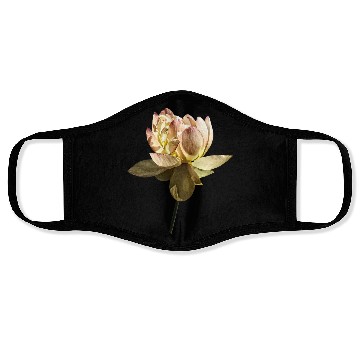 Discover Delicate Pink Lotus Face Masks