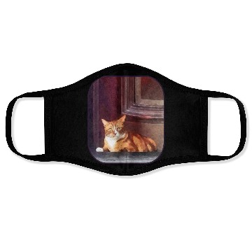 Discover Orange Tabby in Doorway Face Masks