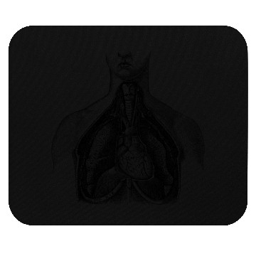 Discover Torso medical illustration Mouse Pads