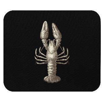 Discover lobster Mouse Pads