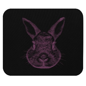 Discover rabbit Mouse Pads