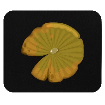 Discover Lotus leaf Mouse Pads