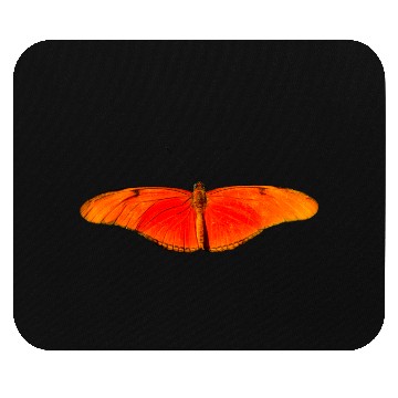 Discover butterfly schmetterlinge insect insekten animal ti Mouse Pads