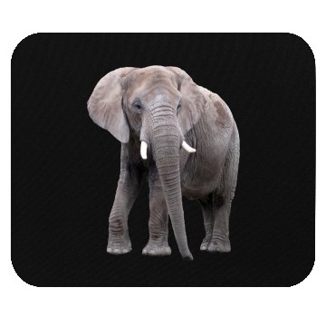 Discover Elephant Mouse Pads