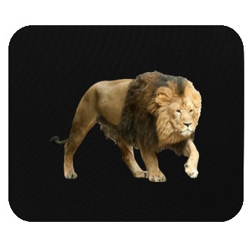 Discover Lion Mouse Pads