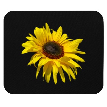 Discover blooming sunflower sunflowers blooms flowers petal Mouse Pads
