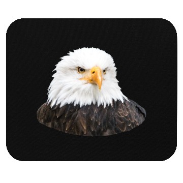 Discover Eagle Mouse Pads