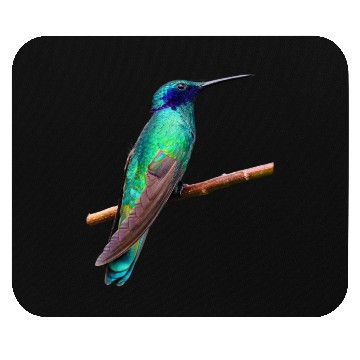 Discover Hummingbird Mouse Pads