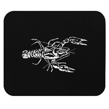 Discover lobster Mouse Pads