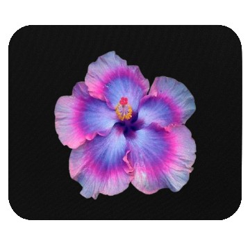 Discover hibiscus flower Mouse Pads