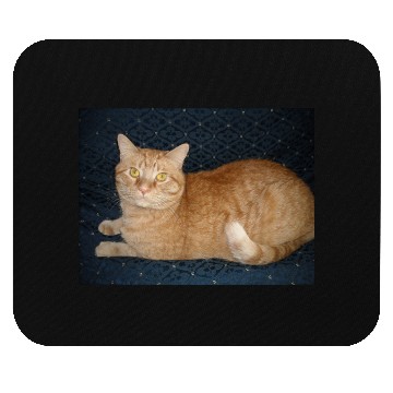 Discover Relaxed Orange Tabby Cat Illustration Mouse Pads