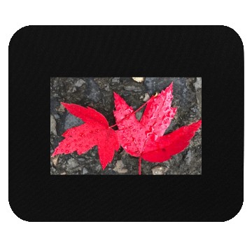 Discover Leaf it to Me Classic Mouse Pads