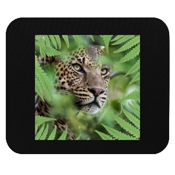 Discover forest tiger Mouse Pads
