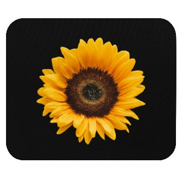 Discover Sunflower Sun Flower Garden Floral Womens Fall Mouse Pads
