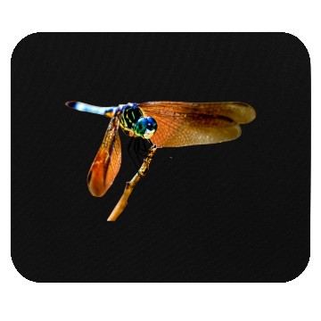 Discover Colorful dragonfly on a branch Mouse Pads