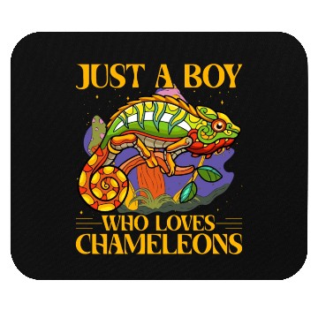 Discover Just a Boy who loves Chameleons Mouse Pads