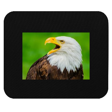 Discover Close-up Profile of a Bald Eagle Screeching Mouse Pads