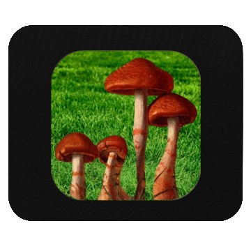 Discover Natural mushroom Mouse Pads