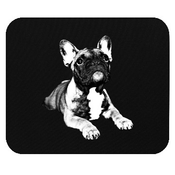 Discover french bulldog puppy Mouse Pads