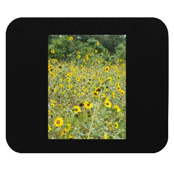 Discover My Photography - Swamp Sunflowers in Texas Mouse Pads