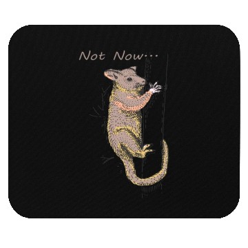 Discover Funny Opossum, Opossum Not Now Mouse Pads
