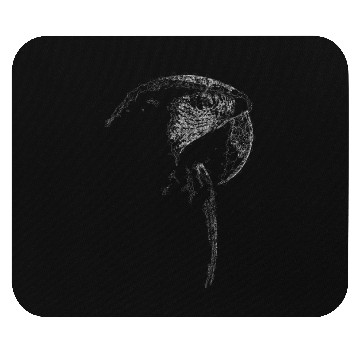 Discover Macaw Lines Art Mouse Pads