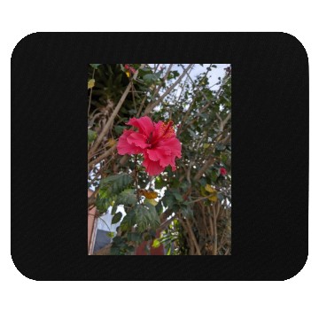 Discover Hibiscus Mouse Pads
