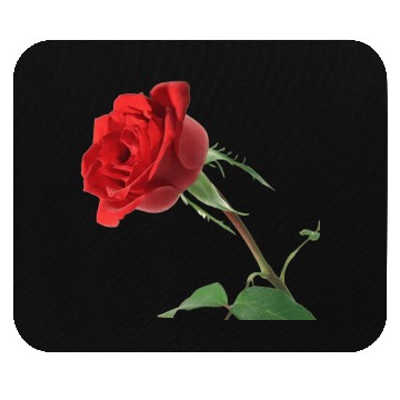 Discover Rose Mouse Pads