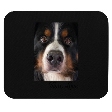 Discover Bernese Mountain Dog Mouse Pads