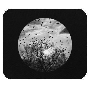 Discover Bird's dance in the sunlight Mouse Pads