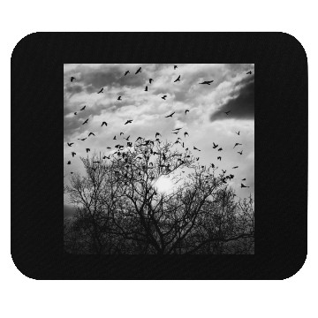Discover Bird's flight at sunset Mouse Pads