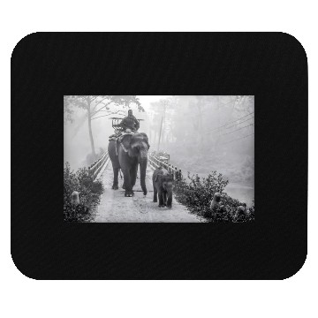 Discover Elephant Mom and Baby In Jungle Safari Mouse Pads