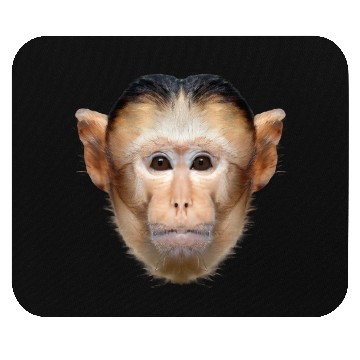 Discover Capuchin Monkey Face Mouse Pads