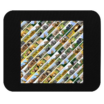 Discover Wildlife Stripe white Collage Mouse Pads