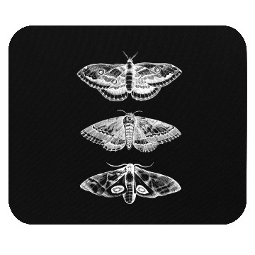 Discover Moth Animal Insect Bug Scientific Illustration Mouse Pads