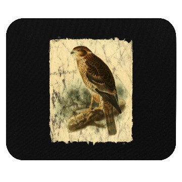 Discover Bird Facon Hawk Mouse Pads