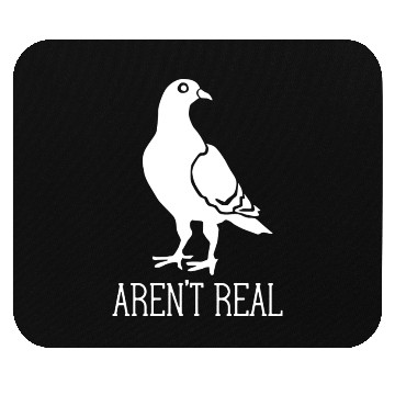 Discover Birds Aren t Real Conspiracy Pigeon Retro Mouse Pads