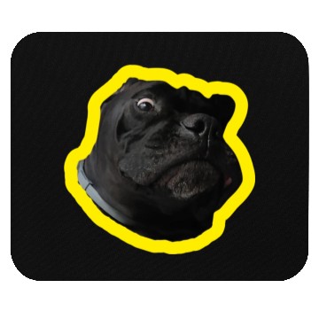 Discover Crazy Cane Corso Mouse Pads