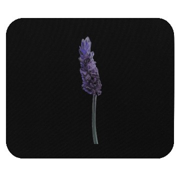 Discover Lavender Flower Illustration Mouse Pads