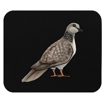 Discover Bird Dove Spotted Dove Mouse Pads