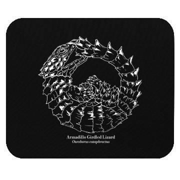 Discover Ouroborus cataphractus Armadillo Girdled Lizard Mouse Pads