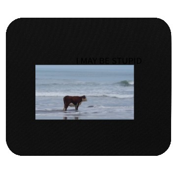 Discover I May Be Stupid Mouse Pads
