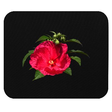 Discover Dark Pink Hibiscus Mouse Pads