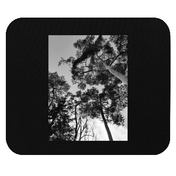 Discover 20230108 142337 Mouse Pads