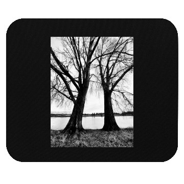 Discover 20230127 090054 2 Mouse Pads