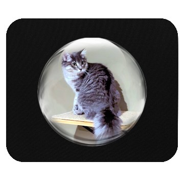 Discover Life In a Bubble Collection-Kitty on the Shelf Mouse Pads