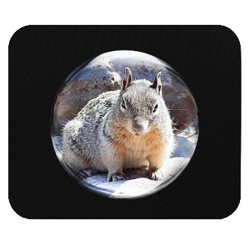 Discover Life In a Bubble Collection- Grand Canyon Squirrel Mouse Pads
