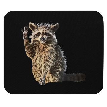 Discover Sunny Raccoon: Happy Print Collection Mouse Pads