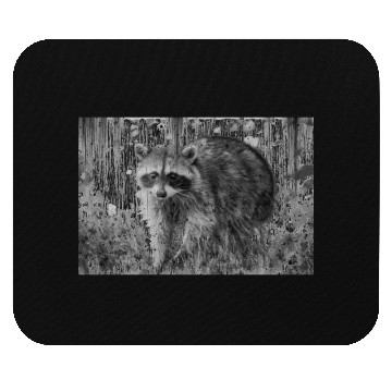 Discover cute racoon walking through wooded forest Mouse Pads